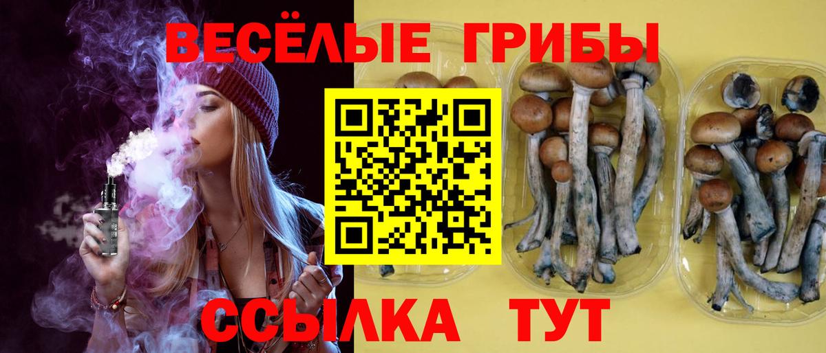 Галлюциногенные грибы Psilocybine cubensis Конаково